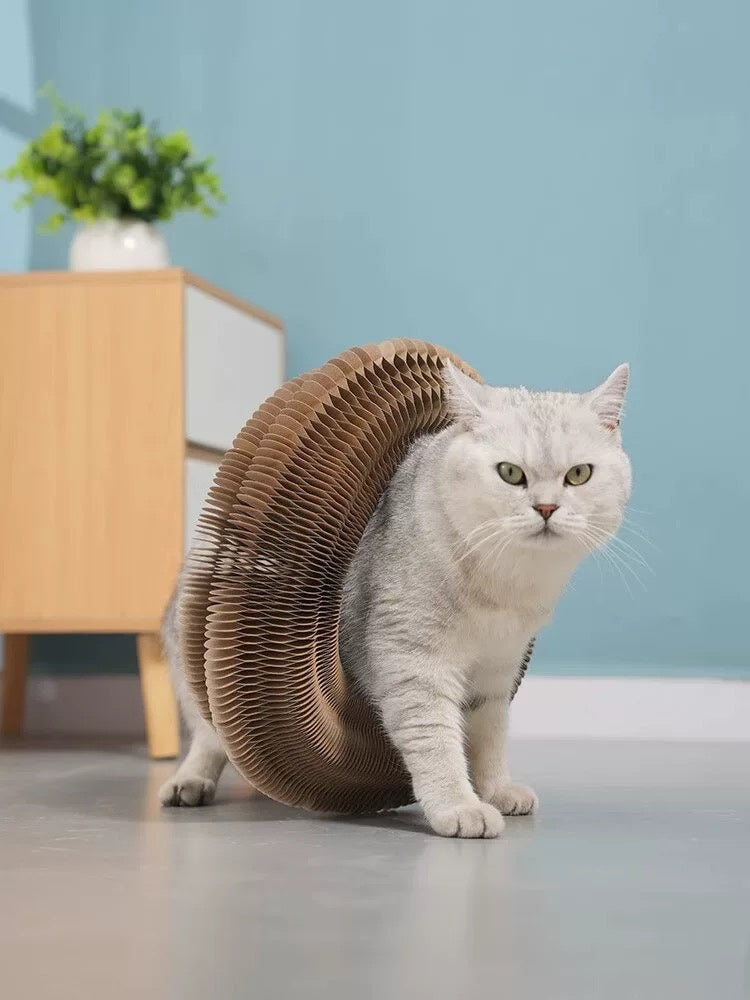 Magic Interactive IQ Training Cat Toy for Learning and Entertainment