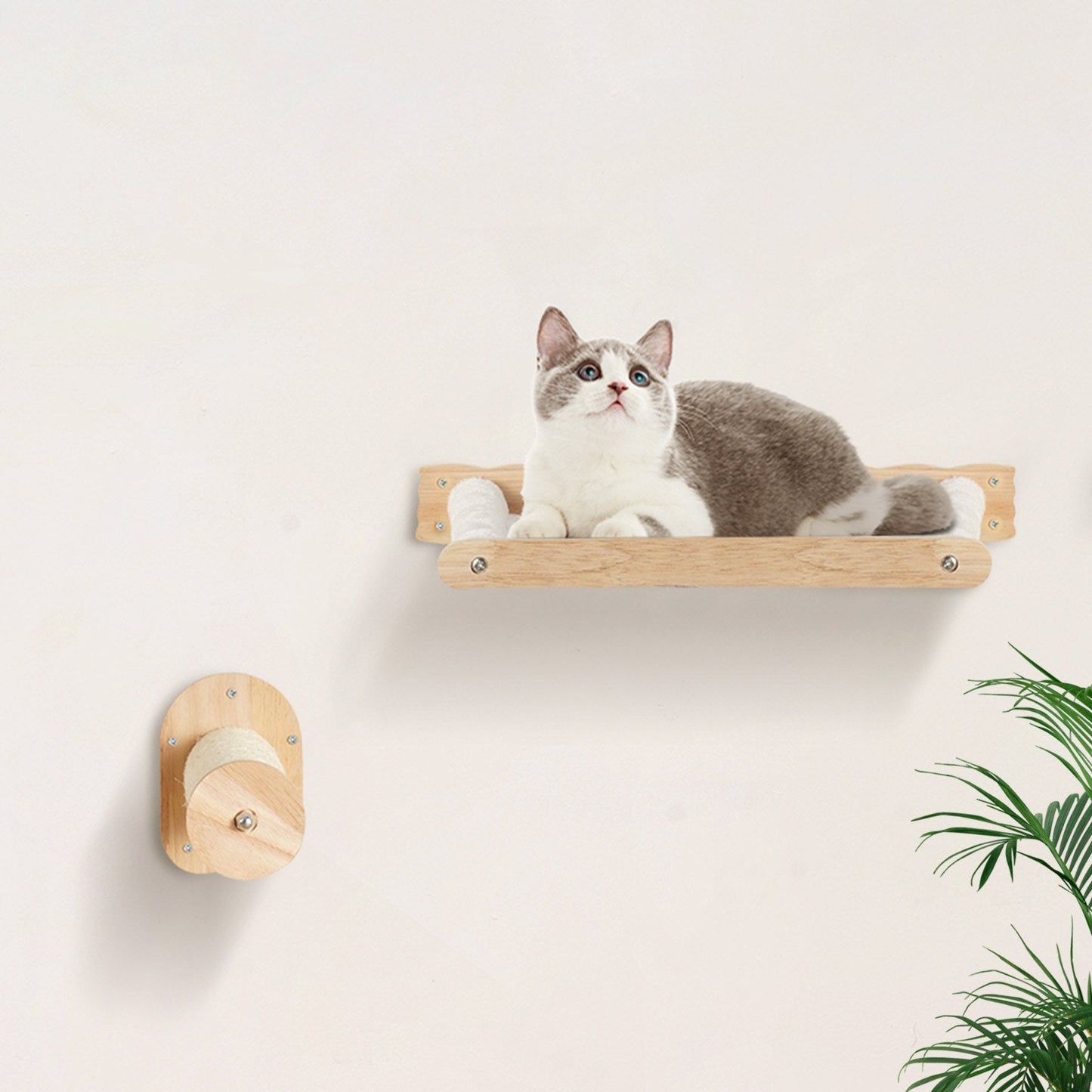 4 Pcs VEVOR Cat Wall Shelves Set Pets Possessions