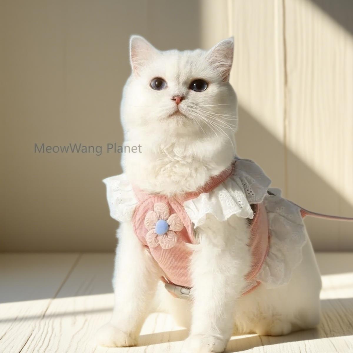 Beautiful Flower Harness + Leash Set for Cats & Dogs