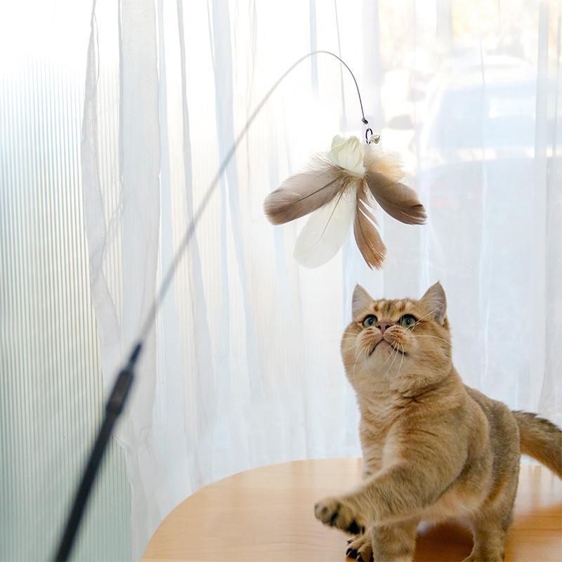 Retractable Cat Teaser Stick & Laser Pen
