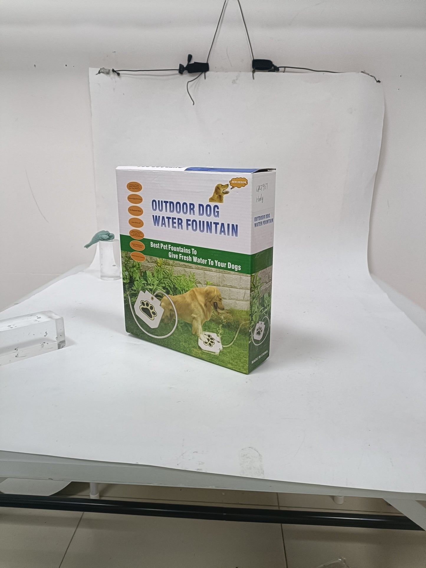 Paw Activated Water Dispenser for Dogs Pets Possessions