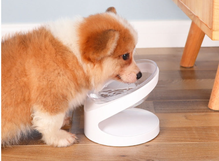 Diagonal Feeding Bowl Designed to Protect Cervical Vertebra for Cats & Small Dogs