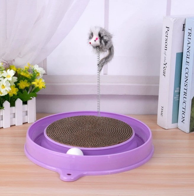 Multi-functional Scratching Entertainment Board for Cat Stimulation