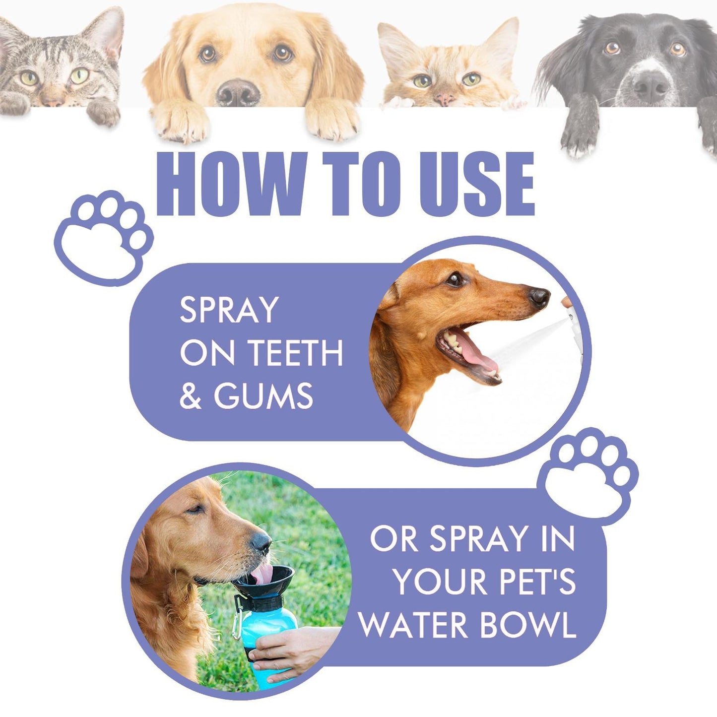 Yegbong Oral Cleaning Breath Deodorizer for Cats & Dogs Pets Possessions