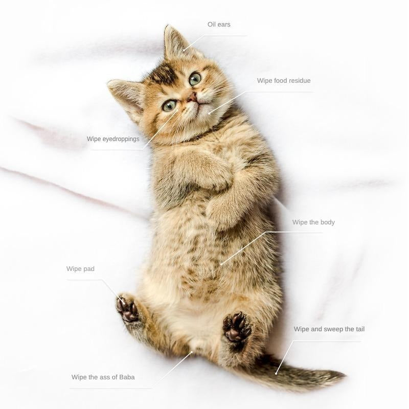 PROKEI 2-in-1 PET Cleaning Hypoallergenic, Deodorizing Gloves and Wipes for Cats & Dogs Pets Possessions