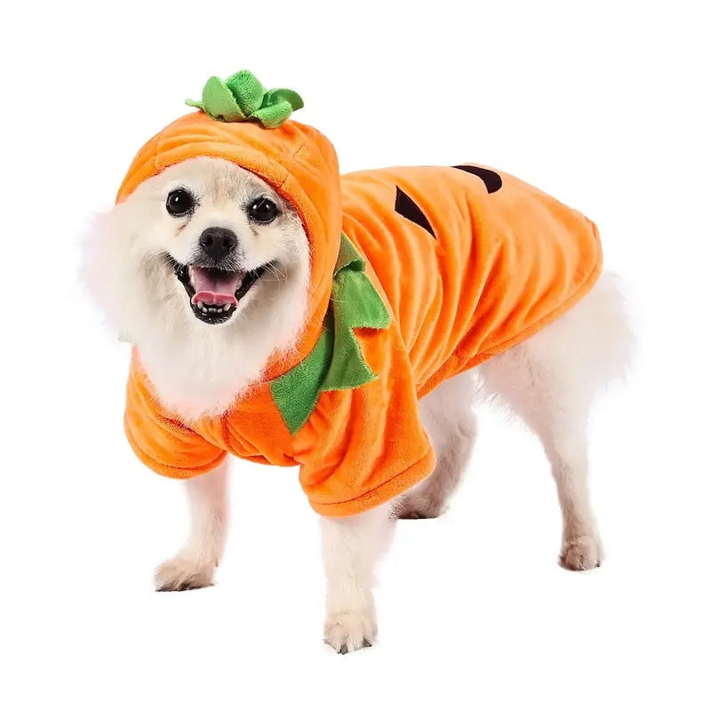 Adorable Halloween Pumpkin Costume for Dogs Pets Possessions