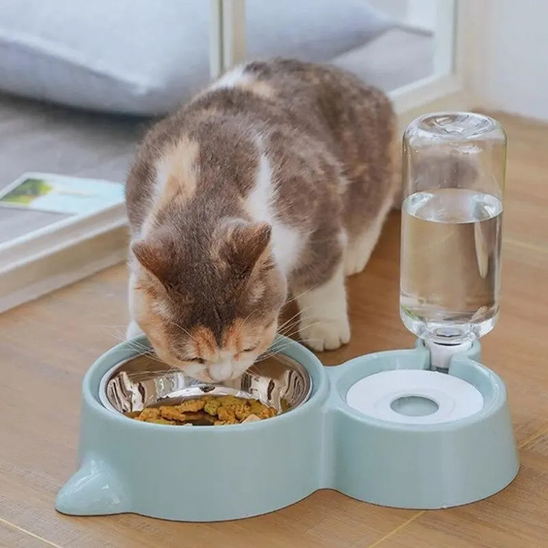 Automatic Water Dispenser and Food Bowl for Cats