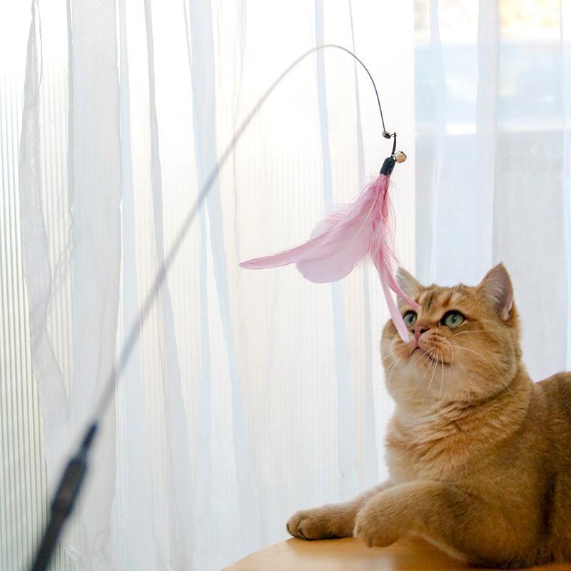 Retractable Cat Teaser Stick & Laser Pen