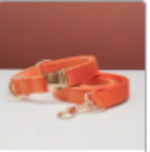 Multiple Color Velvet Personalized (optional) Dog Collar +Leash Set with Bow