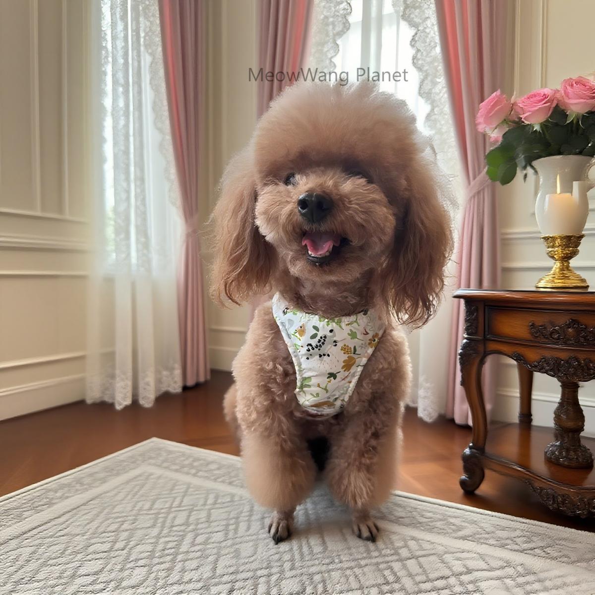 Elegant Bow Harness + Leash Set for Cats & Small Dogs Pets Possessions