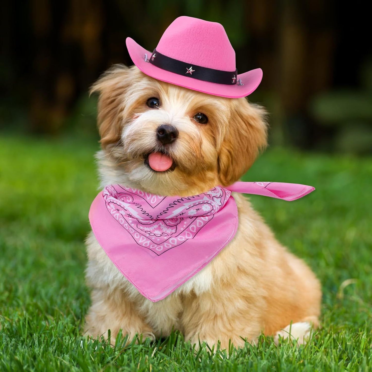 Pink Cowboy Hat and Bandana Set Suitable for Halloween Costumes Universal for Cats & Dogs