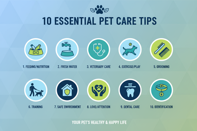 Pet Care Tips