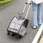 Rolling Pet Carrier with Removable Wheels for Cats & Dogs Pets Possessions