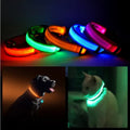 LED Safety Halo Style Collar Universal for Cats & Dogs Pets Possessions