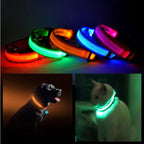 LED Safety Halo Style Collar Universal for Cats & Dogs Pets Possessions