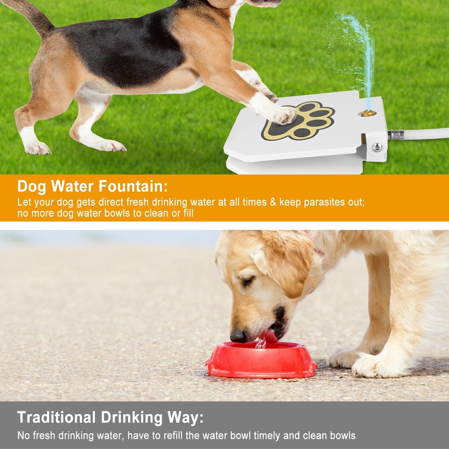 Paw Activated Water Dispenser for Dogs Pets Possessions