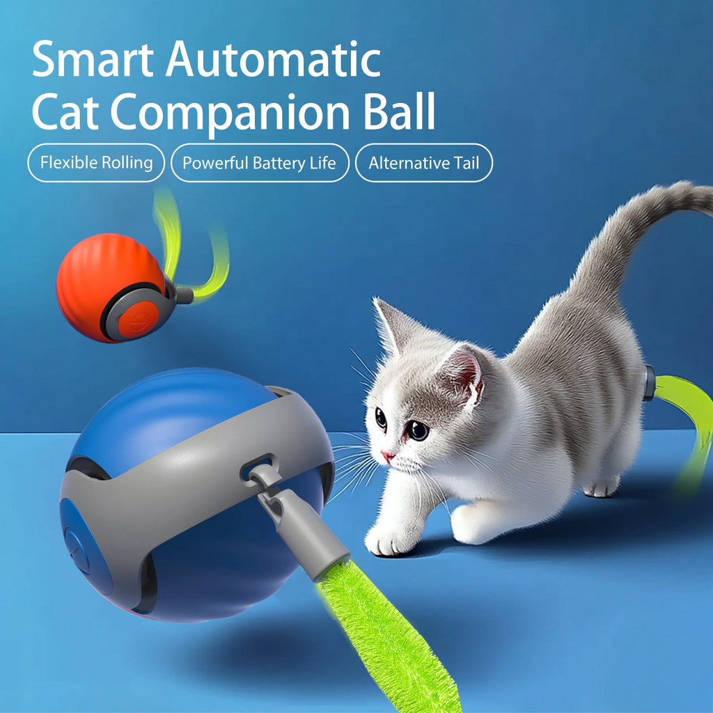 Smart Interactive Ball Type-C Rechargeable for Cat Stimulation and Training Pets Possessions