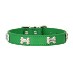 Rad PU Leather Collars for Dogs & Cats Pets Possessions LLC