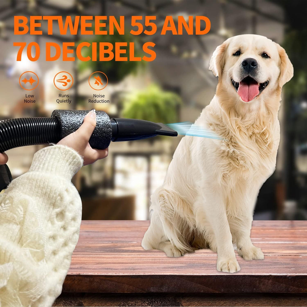 Golada Professional-Grade Grooming Blow Dryer with 4 Detachable Nozzles for Cats & Dogs Pets Possessions