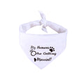 Celebration Scarves for Cats & Dogs – Wedding & Special Occasions Pets Possessions LLC