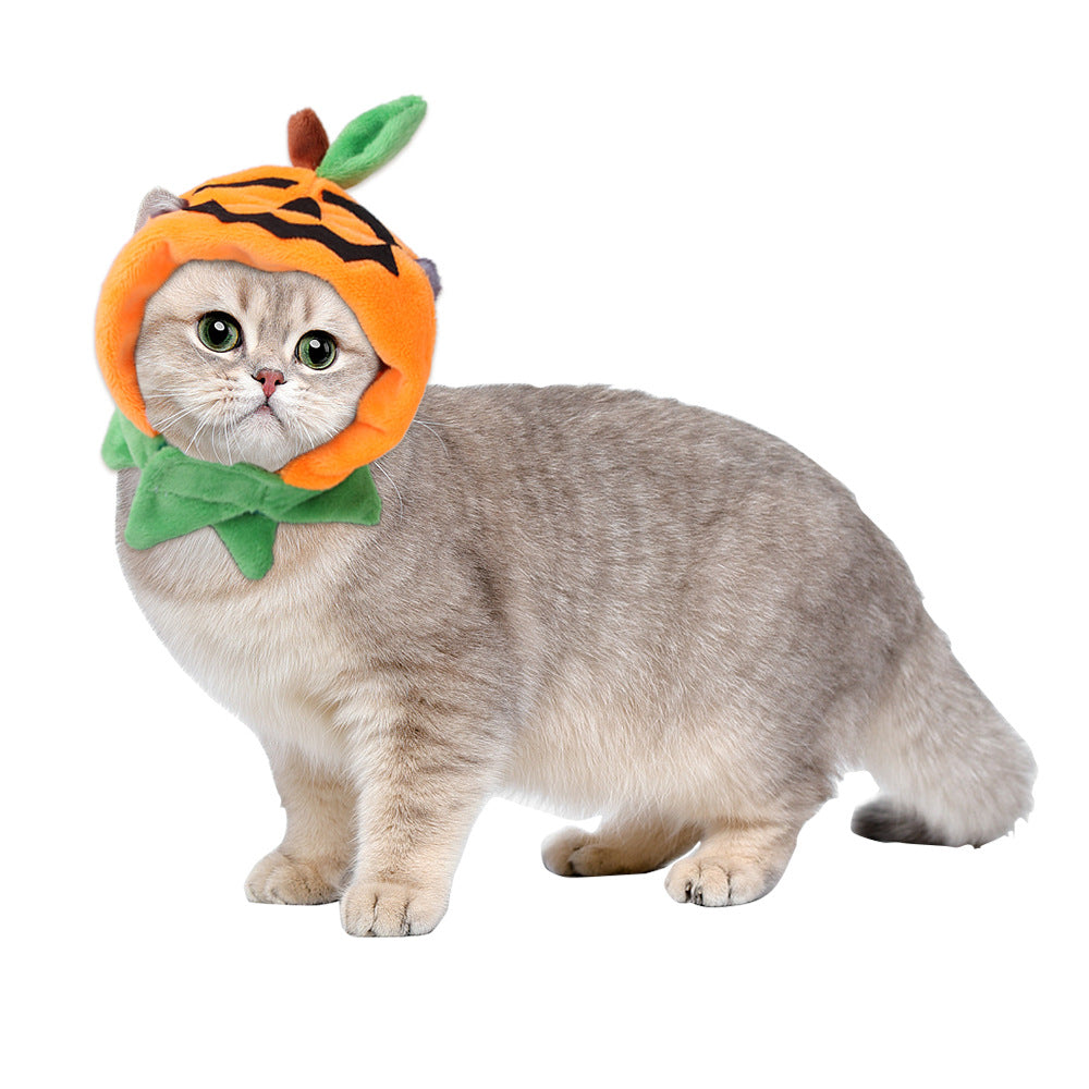 Funny Headpieces for Cats & Small Dogs Pets Possessions LLC
