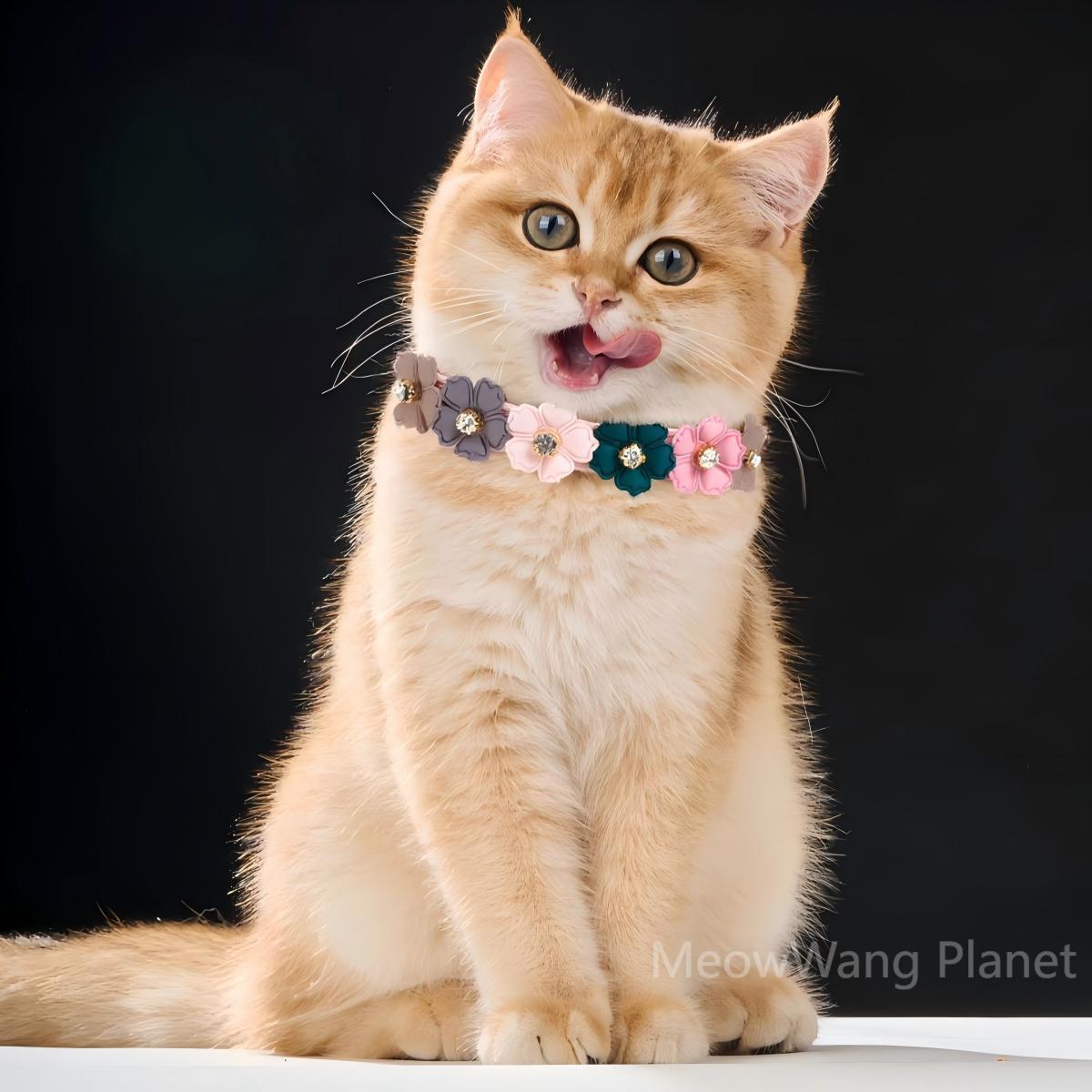 Luxury Floral Leather Collar with Elegant Rhinestone for Cats & Dogs Pets Possessions
