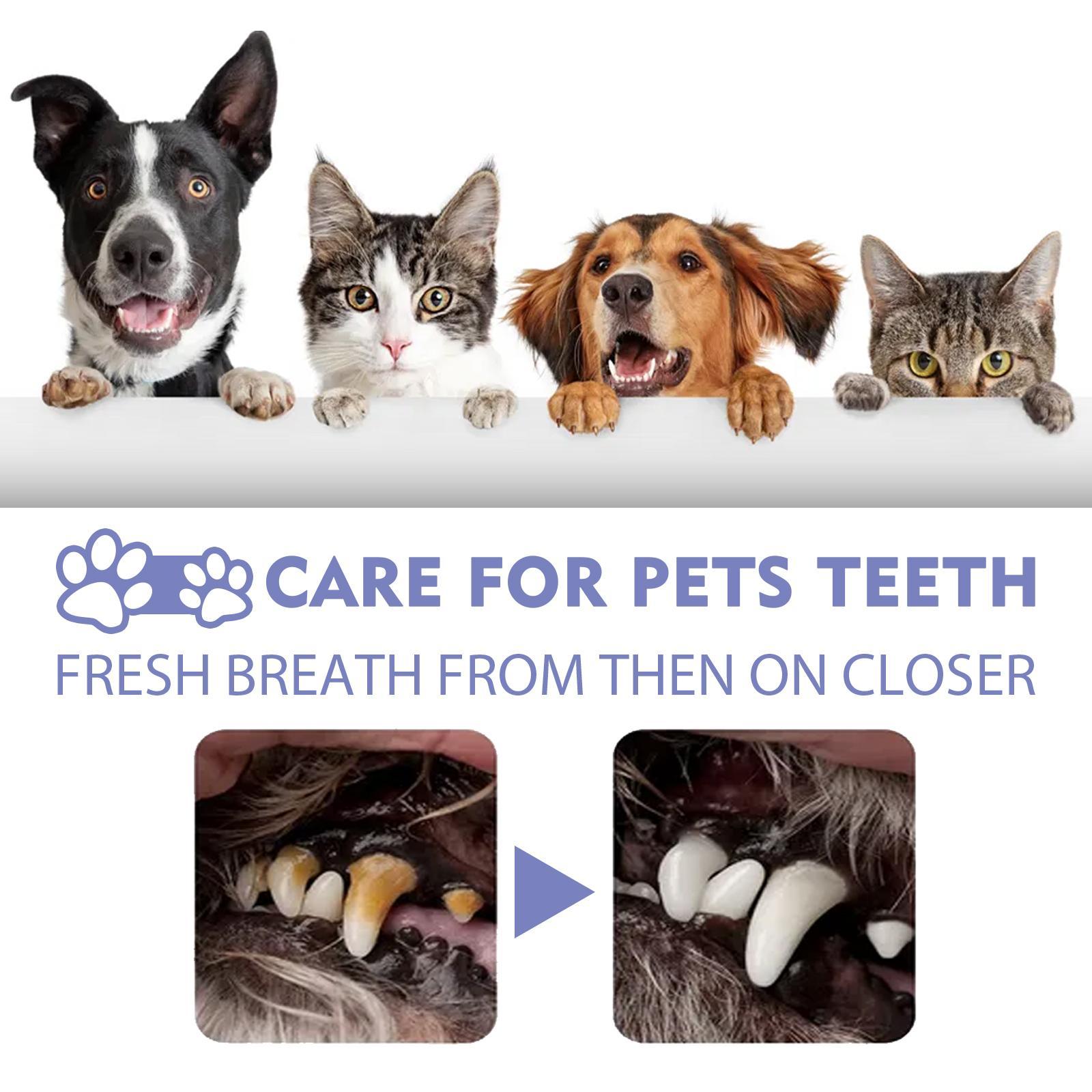 Yegbong Oral Cleaning Breath Deodorizer for Cats & Dogs Pets Possessions