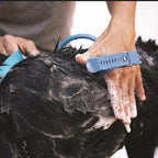 2-in-1 Pet Bathing Sprayer + Massager with Brush Tool for Cats & Dogs Pets Possessions