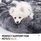 Comfy Paw Shaped Bed for Cats & Dogs Pets Possessions