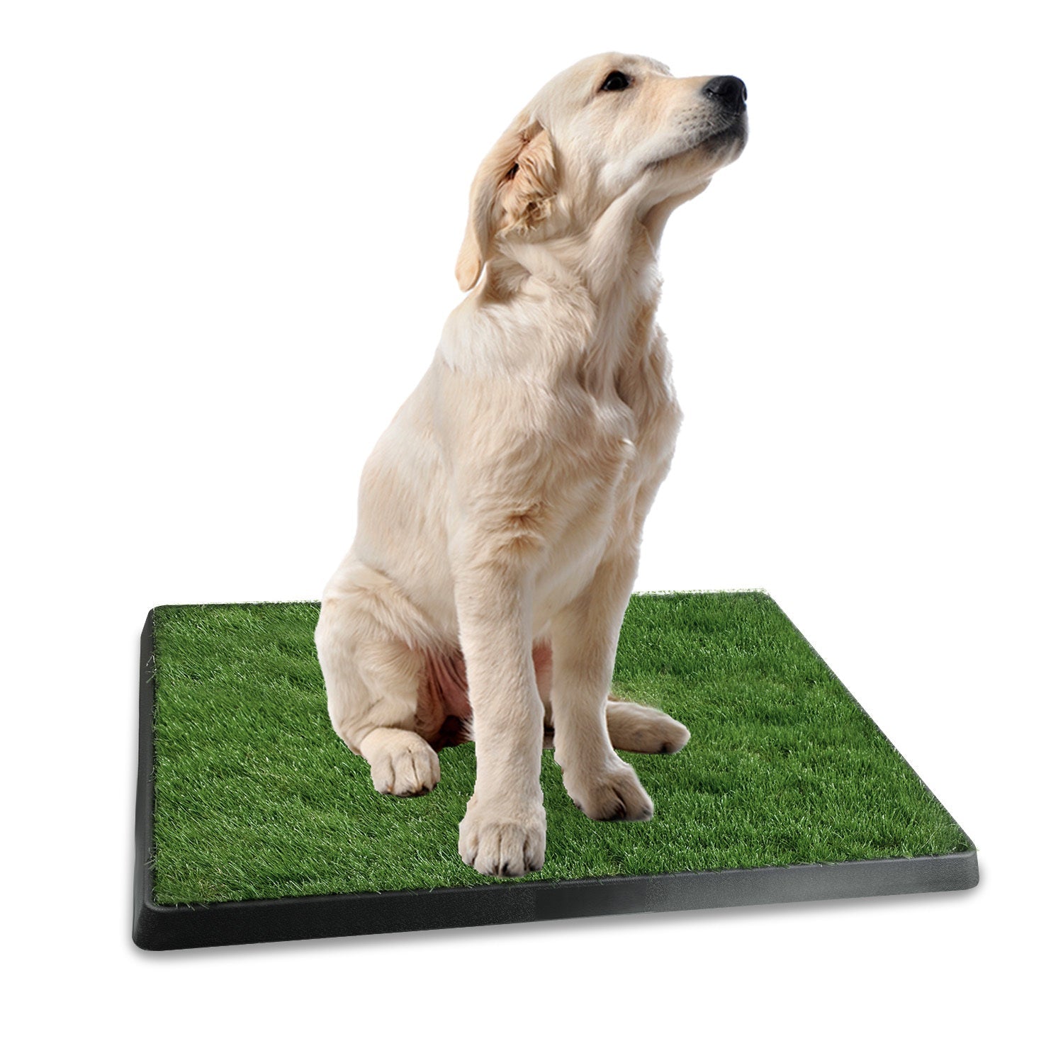 1Pc Potty Training Artificial Grass Pad for Dogs. (Easy Cleaning) Pets Possessions