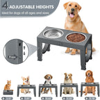 Xia Z Fashion Elevated Feeding Table with Double Bowls for Dogs Pets Possessions
