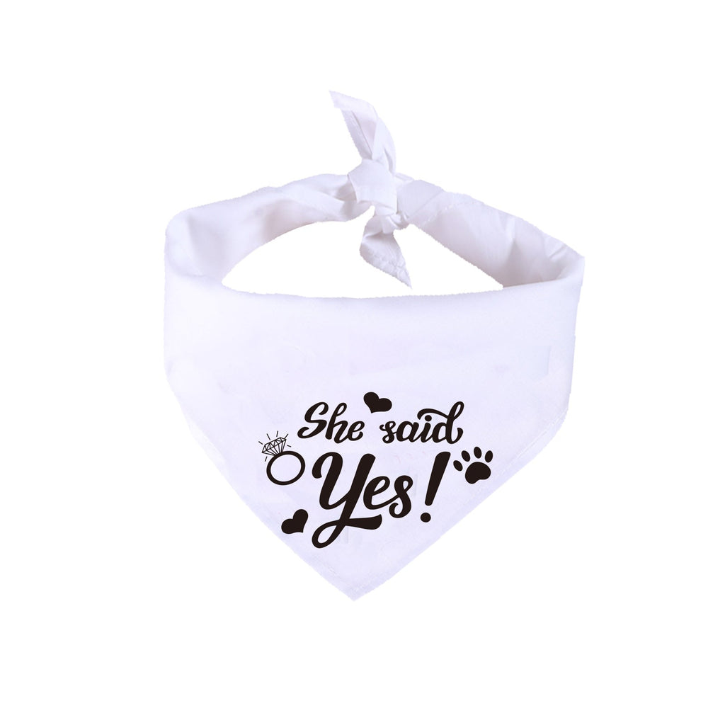 Celebration Scarves for Cats & Dogs – Wedding & Special Occasions Pets Possessions LLC