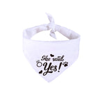 Celebration Scarves for Cats & Dogs – Wedding & Special Occasions Pets Possessions LLC