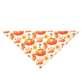 Autumn Harvest Thanksgiving Pet Scarves for Cats & Dogs Pets Possessions LLC
