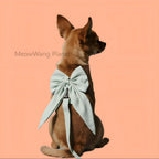 Elegant Bow Harness + Leash Set for Cats & Small Dogs Pets Possessions