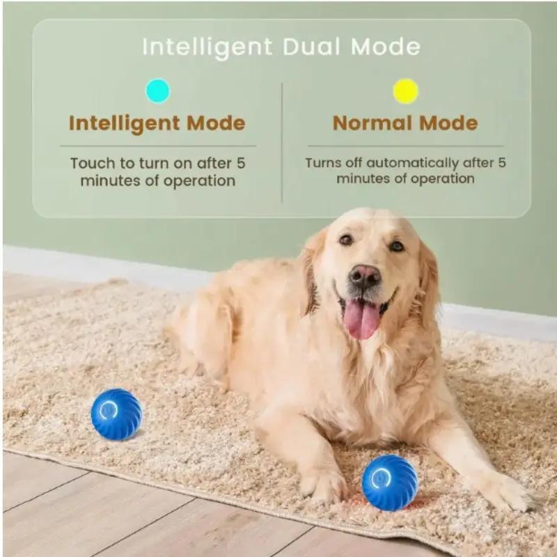 Pet Bouncing Ball Great for Exercising, Training and Pet Stimulation for Cats & Dogs Pets Possessions