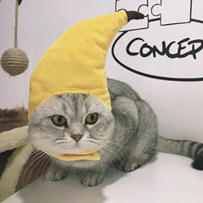 Funny Headpieces for Cats & Small Dogs Pets Possessions LLC