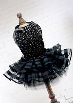 Elegant Black Studded Special Occasion Dress for Dogs & Cats Pets Possessions LLC