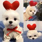 Cute Holiday and Year Round Costumes for Cats & Dogs Pets Possessions