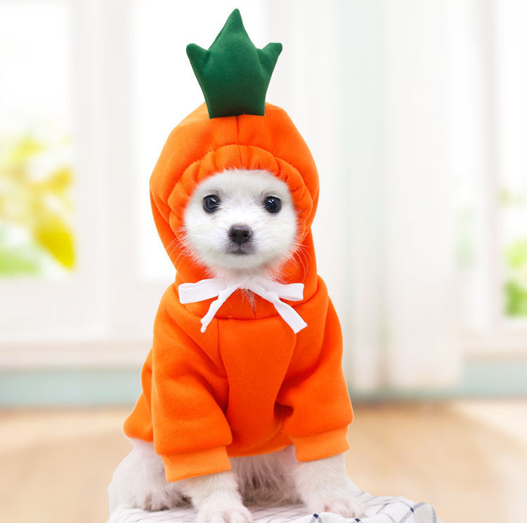 Cute Holiday and Year Round Costumes for Cats & Dogs Pets Possessions