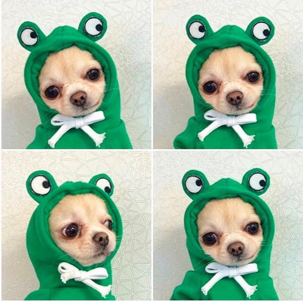 Cute Holiday and Year Round Costumes for Cats & Dogs Pets Possessions