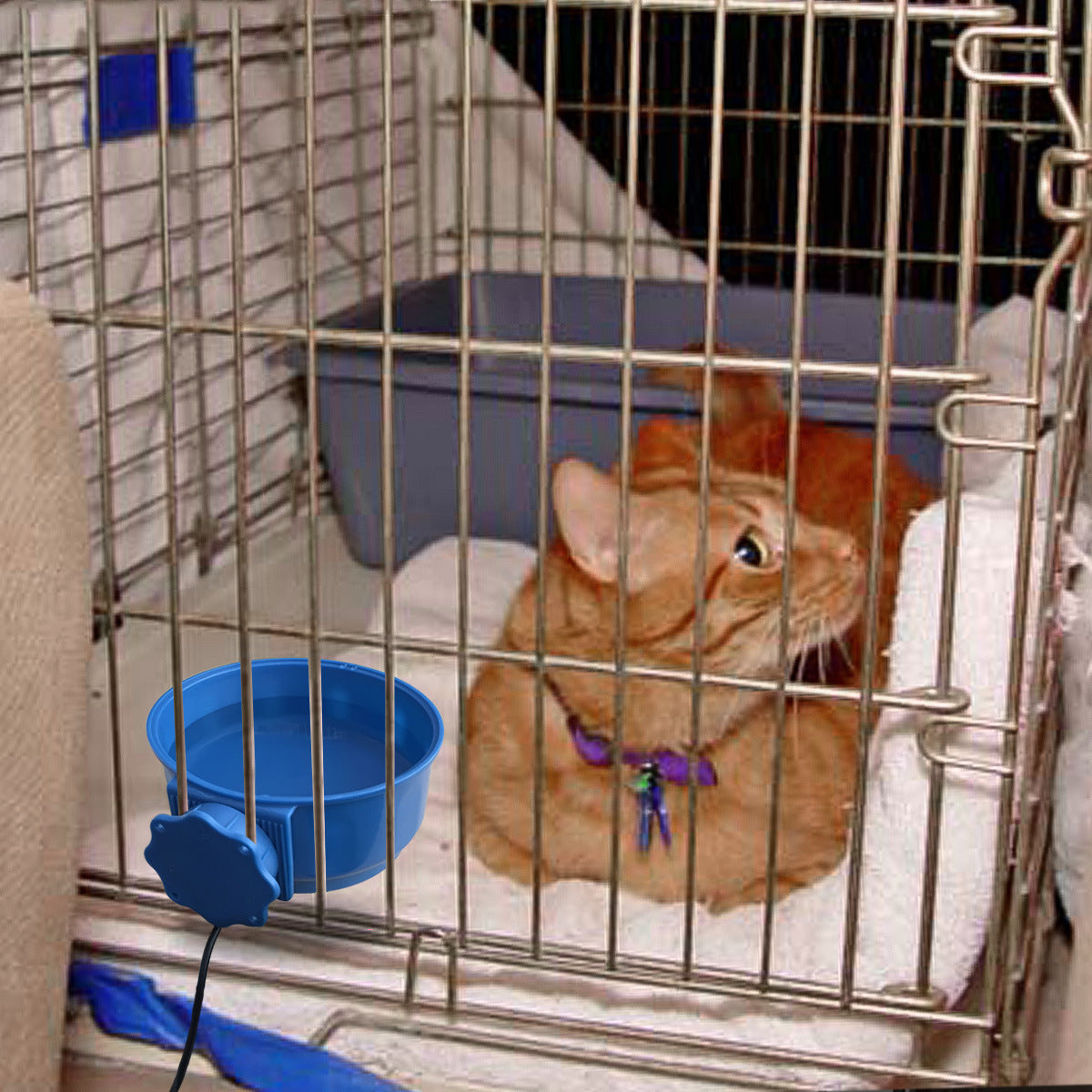 Temperature And Heat Preservation Water Bowl Pets Possessions LLC