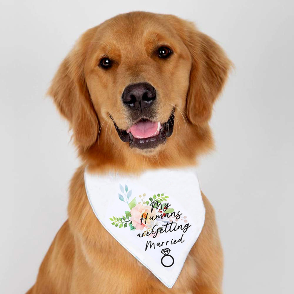 Elegant Wedding Bells Neck Scarf for Cats & Dogs (My humans are getting married) Pets Possessions LLC