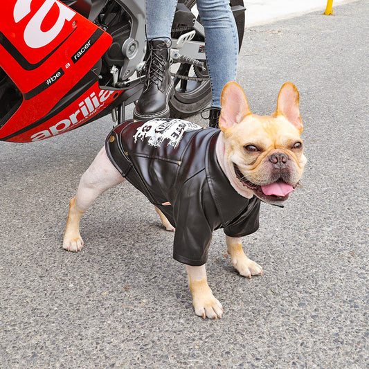 Edgy Leather Moto Style Skateboard Jacket for Dogs Pets Possessions LLC