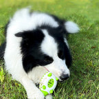 2-in-1 Hedgehog Chewing Ball Molarclean Teeth Cleaning and Food Dispenser Toy for Dogs Pets Possessions