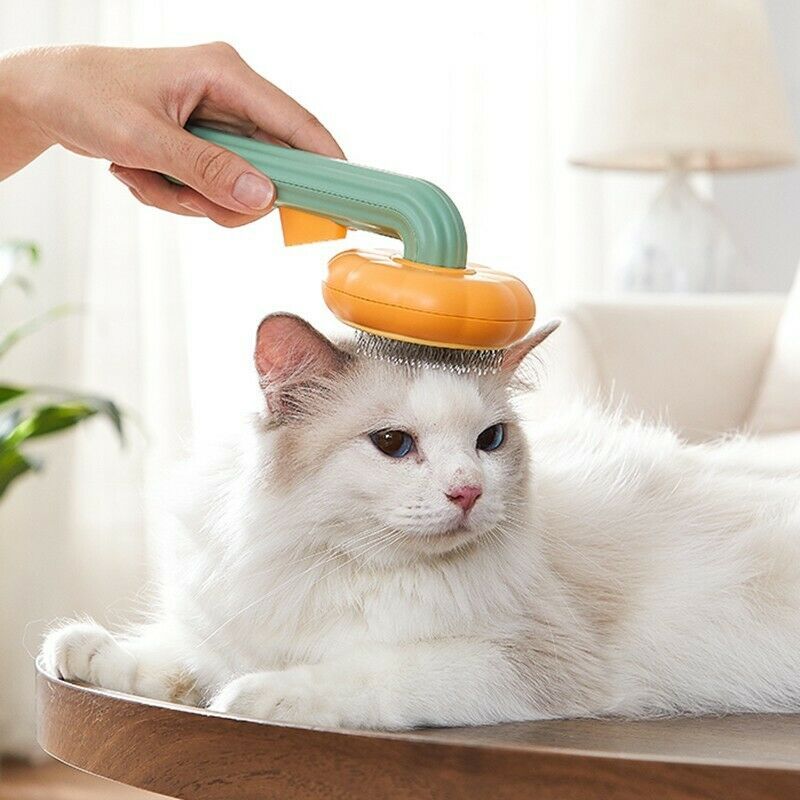 Pumpkin Grooming Slicker Brush for Cats & Dogs Pets Possessions