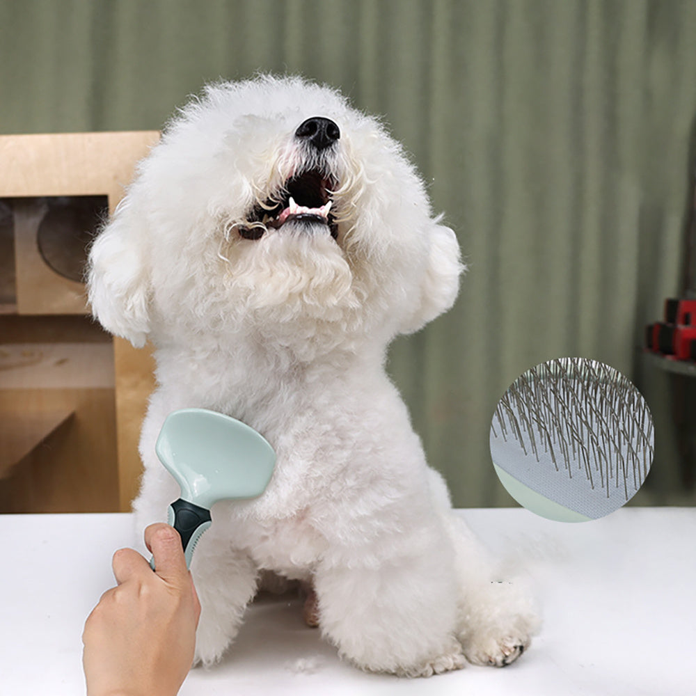 Professional, Cordless, Low Noise Dog Grooming Kit Universal for Cats Pets Possessions