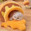 Adorable Honey Pot Cave Bed with Removable Cushions for Cats & Small Dogs Pets Possessions