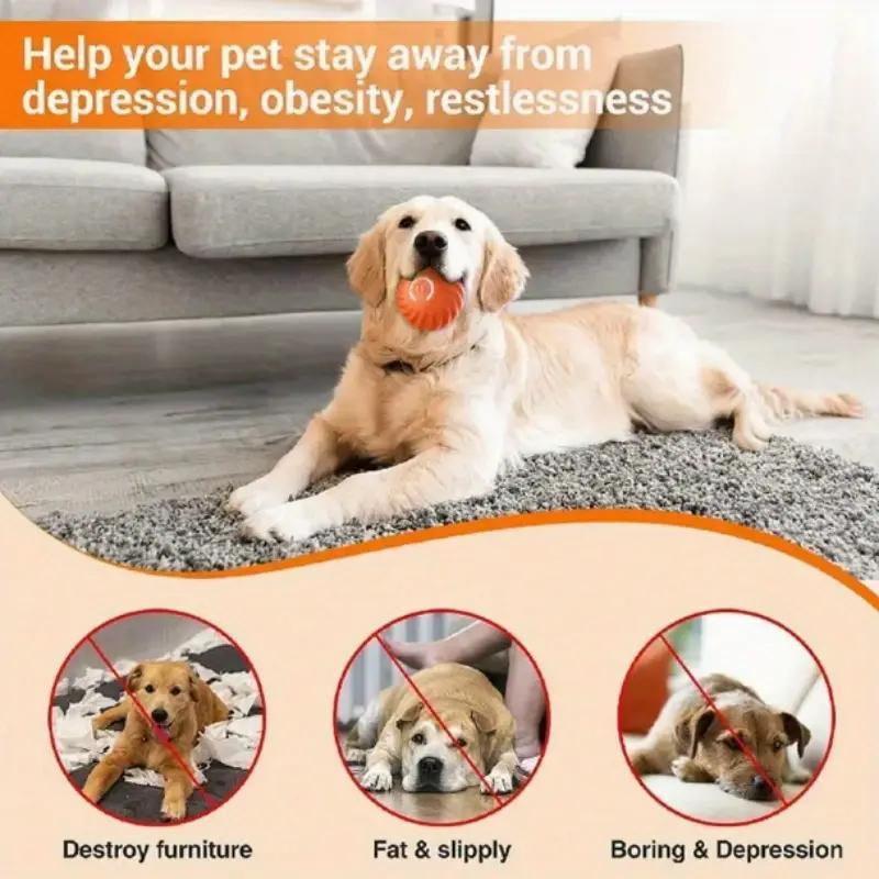 Pet Bouncing Ball Great for Exercising, Training and Pet Stimulation for Cats & Dogs Pets Possessions