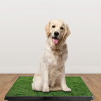 1Pc Potty Training Artificial Grass Pad for Dogs. (Easy Cleaning) Pets Possessions